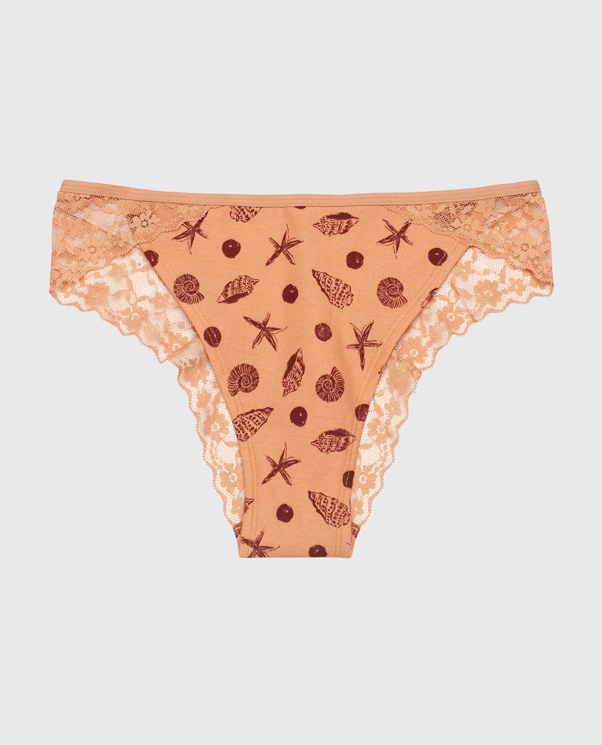 Cheeky Panty with Lace Trim in She Sells Sea Shells