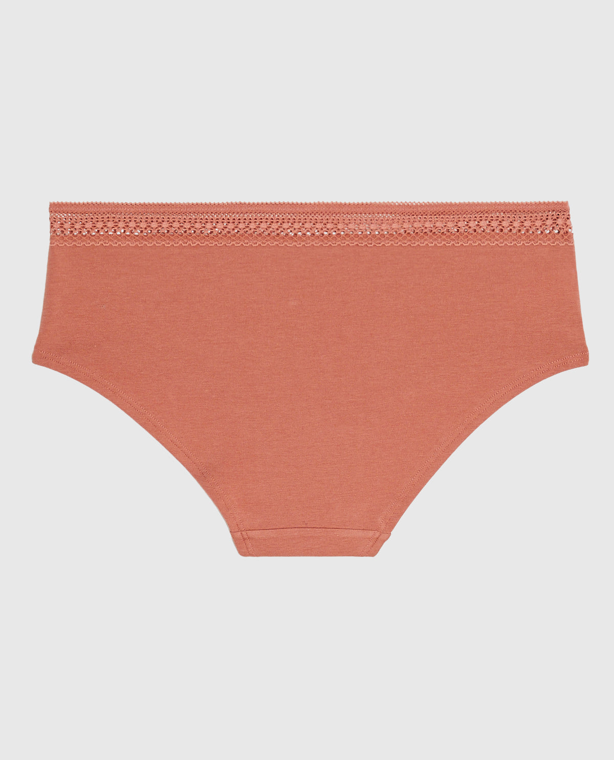 Hipster Panty with Elemental Lace in Rosy Blush