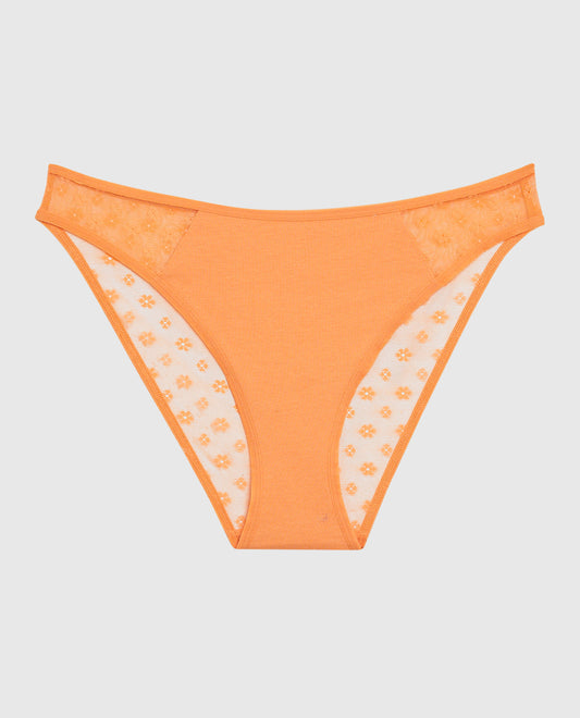 Mesh Bikini Panty