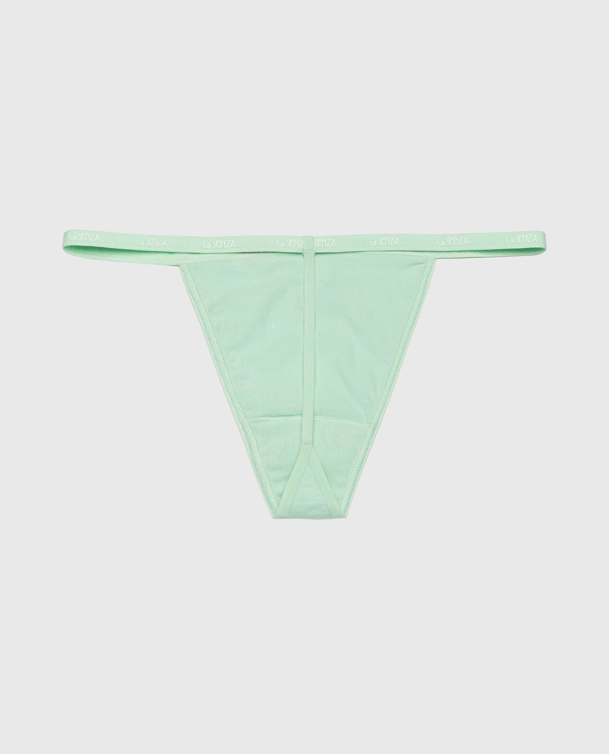 G-Sring Panty with Logo Trim in Mist Green